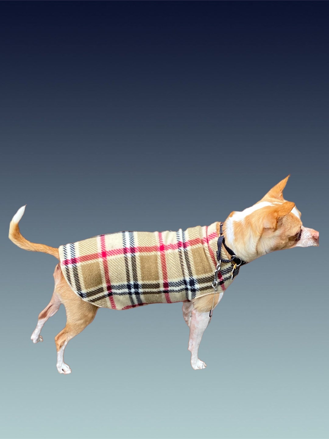 FLEECE DOG Sweaters/tshirts.. Sales Benefit Animal Rescue, Custom Sizes