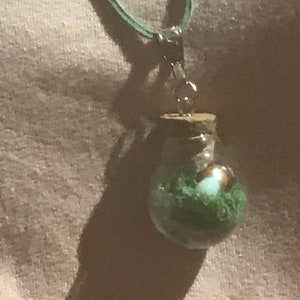 necklace with glass pendant.  (rain deer moss)