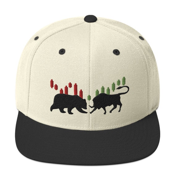Forex Day Trader Stock Market Snapback 