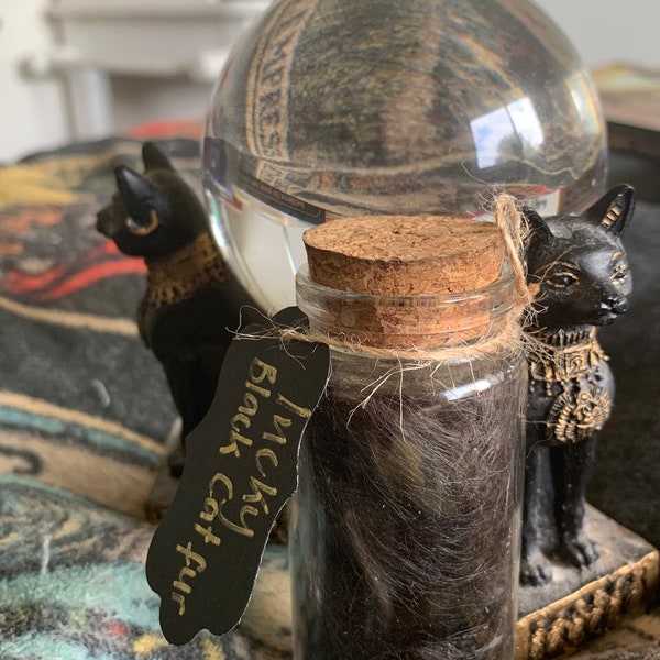 Lucky black cat fur/spell work/magick/alter/shrine/hoodoo/money spell/love spell/ gambling spell/ relationship spell