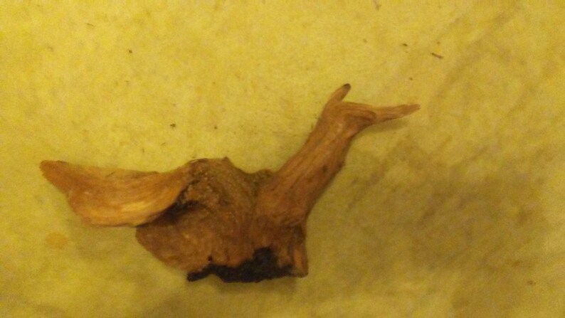 Driftwood Sculpture Driftwood Decor Unique Decorative Etsy