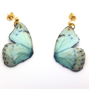 May include: A pair of earrings featuring a light blue butterfly wing design with gold accents. The wings have a delicate, translucent quality and are accented with dark blue and brown markings.