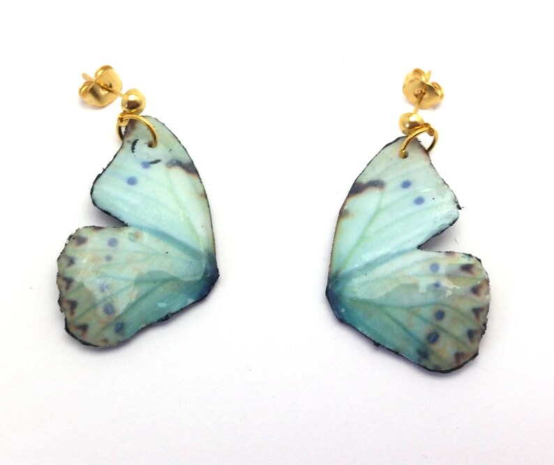 May include: A pair of earrings featuring a light blue butterfly wing design with gold accents. The wings have a delicate, translucent quality and are accented with dark blue and brown markings.