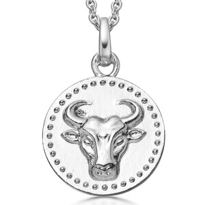 Sterling Silver Taurus Necklace