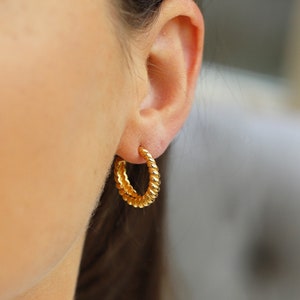 Gold Plated & Silver Twisted Hoop Earrings