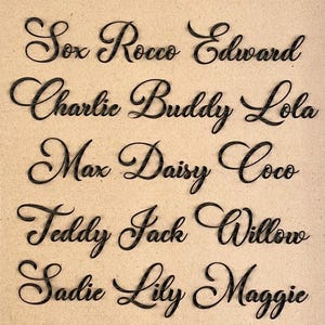 May include: A list of names written in a cursive font style, labeled "FONT 3". The names are: Sox, Rocco, Edward, Charlie, Buddy, Lola, Max, Daisy, Coco, Teddy, Jack, Willow, Sadie, Lily, Maggie, Rosie, Cooper, and Leo.
