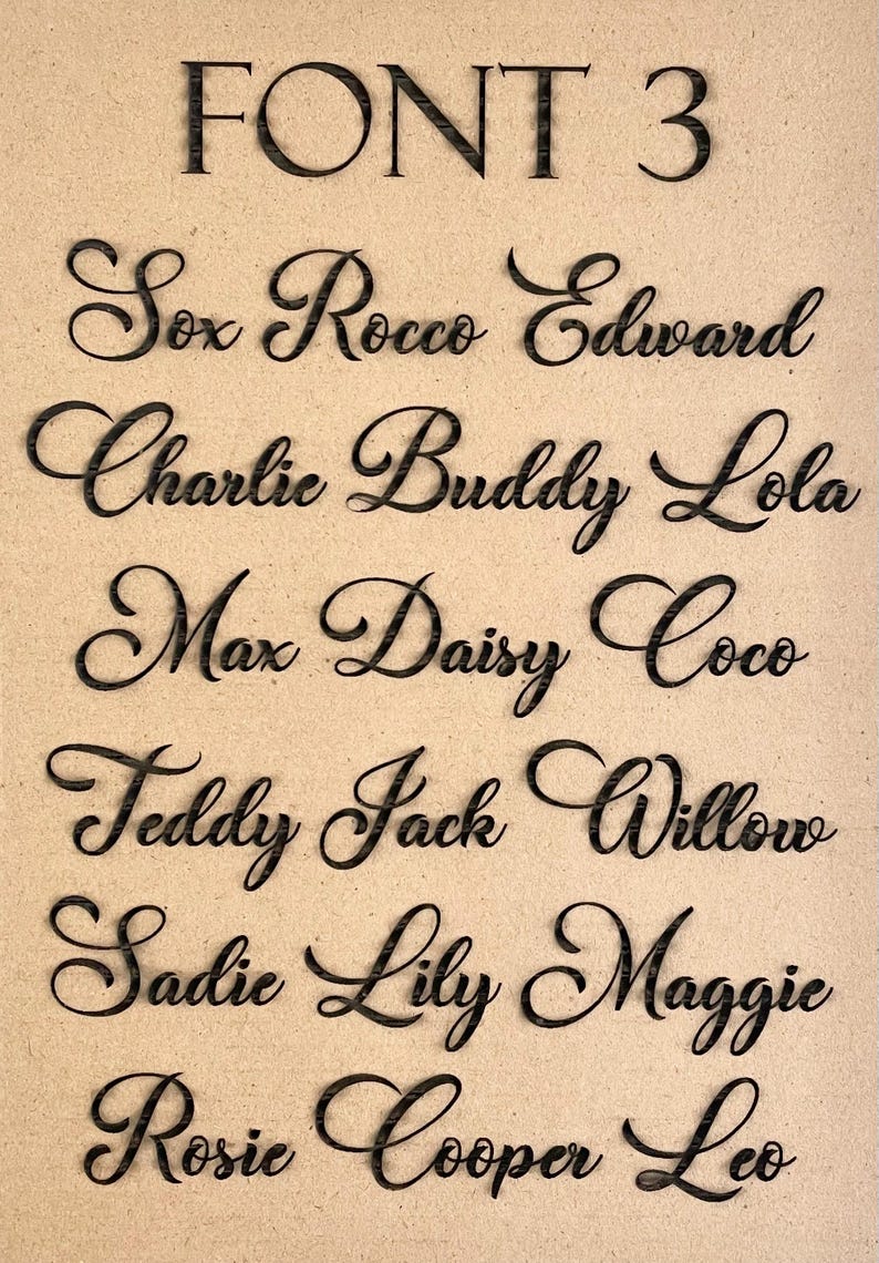 May include: A list of names written in a cursive font style, labeled "FONT 3". The names are: Sox, Rocco, Edward, Charlie, Buddy, Lola, Max, Daisy, Coco, Teddy, Jack, Willow, Sadie, Lily, Maggie, Rosie, Cooper, and Leo.