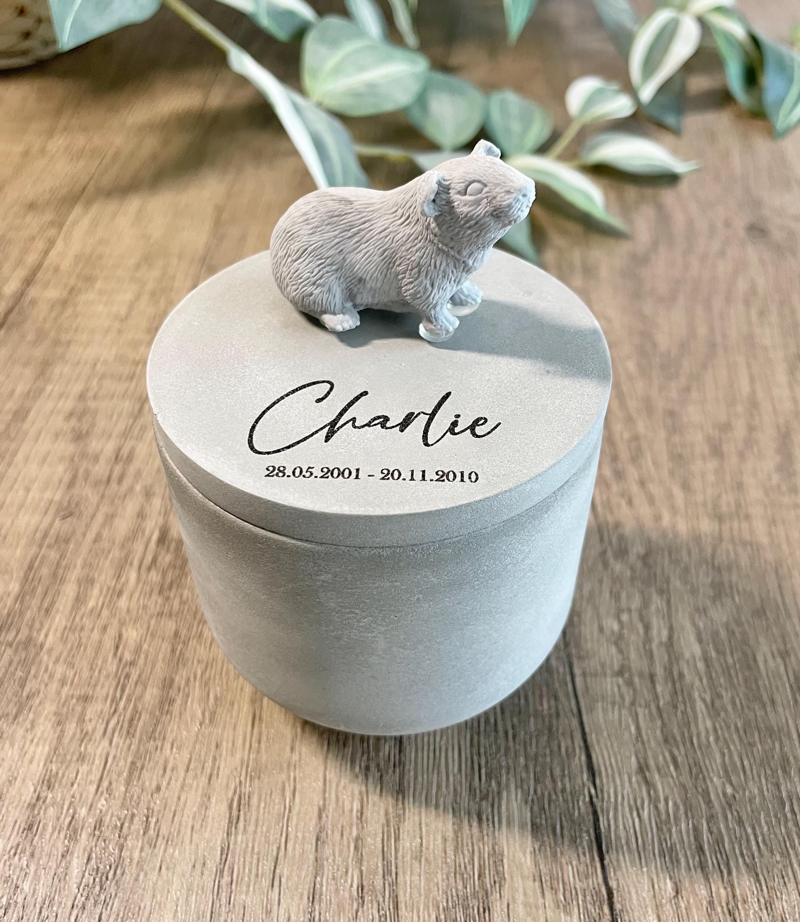 Urna de cremación personalizada para conejillos de indias: Memorial de hormigón hecho a mano para mascotas