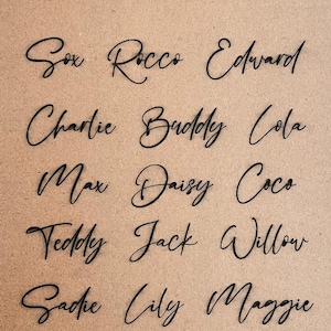 May include: A collection of names written in a cursive font style. The names are Sox, Rocco, Edward, Charlie, Buddy, Cola, Max, Daisy, Coco, Teddy, Jack, Willow, Sadie, Lily, Maggie, Rosie, Cooper, and Leo.
