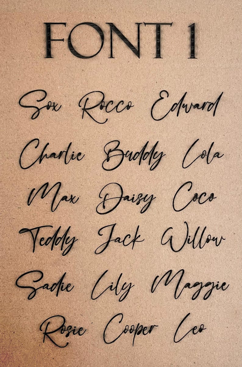 May include: A collection of names written in a cursive font style. The names are Sox, Rocco, Edward, Charlie, Buddy, Cola, Max, Daisy, Coco, Teddy, Jack, Willow, Sadie, Lily, Maggie, Rosie, Cooper, and Leo.