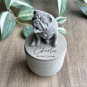 Personalised concrete English Bulldog urn | pet memorial | urn for ashes | indoor concrete urn | dog pet urn | cremation urn