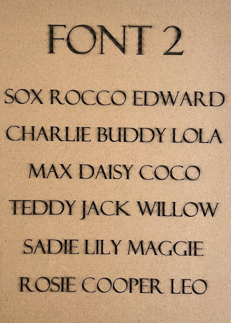 May include: A list of names written in a simple, sans-serif font. The names are: Sox, Rocco, Edward, Charlie, Buddy, Lola, Max, Daisy, Coco, Teddy, Jack, Willow, Sadie, Lily, Maggie, Rosie, Cooper, and Leo.