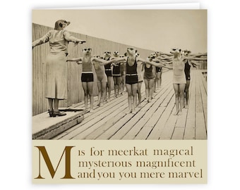 M es para Meerkat