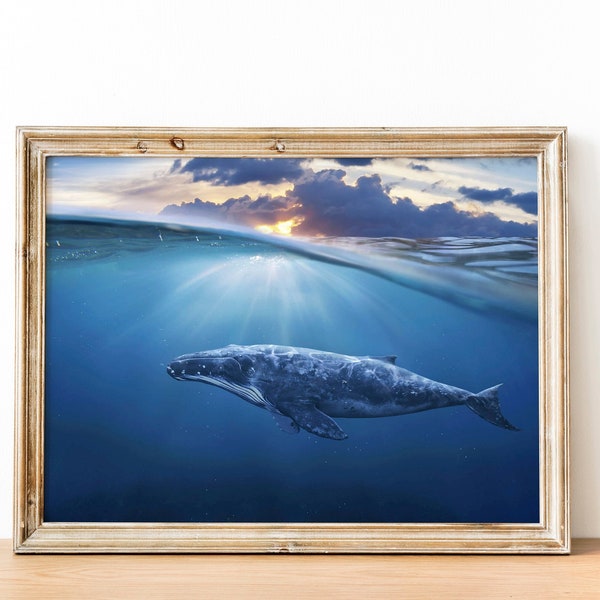 Humpback Whale Poster, Wall Art Decor, Printable Download Digital