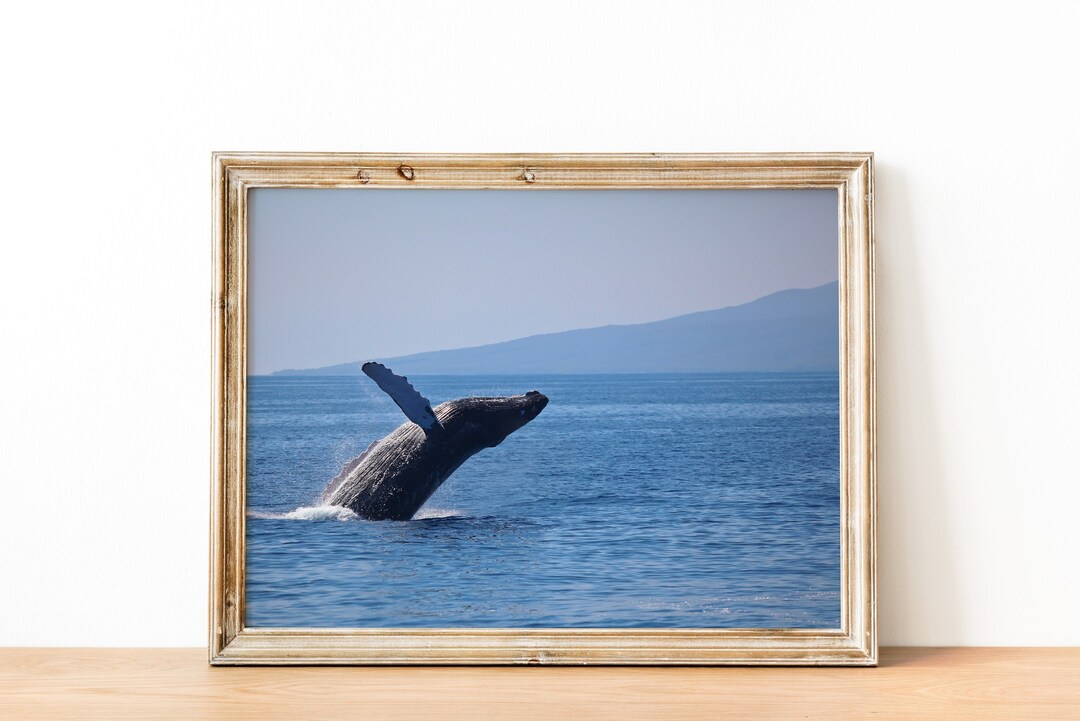 Humpback Whale Poster, Wall Decor, Printable Banner, Download Print ...
