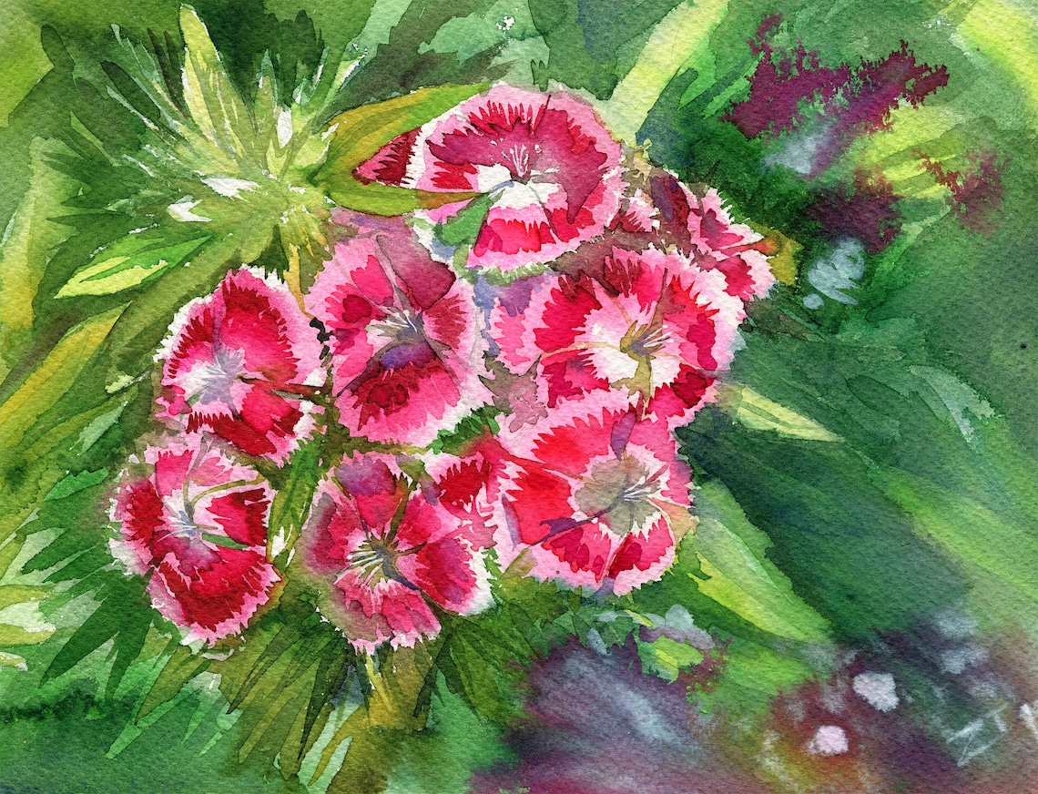 Carnation Flowers Painting Painting Original Watercolor Floral Etsy