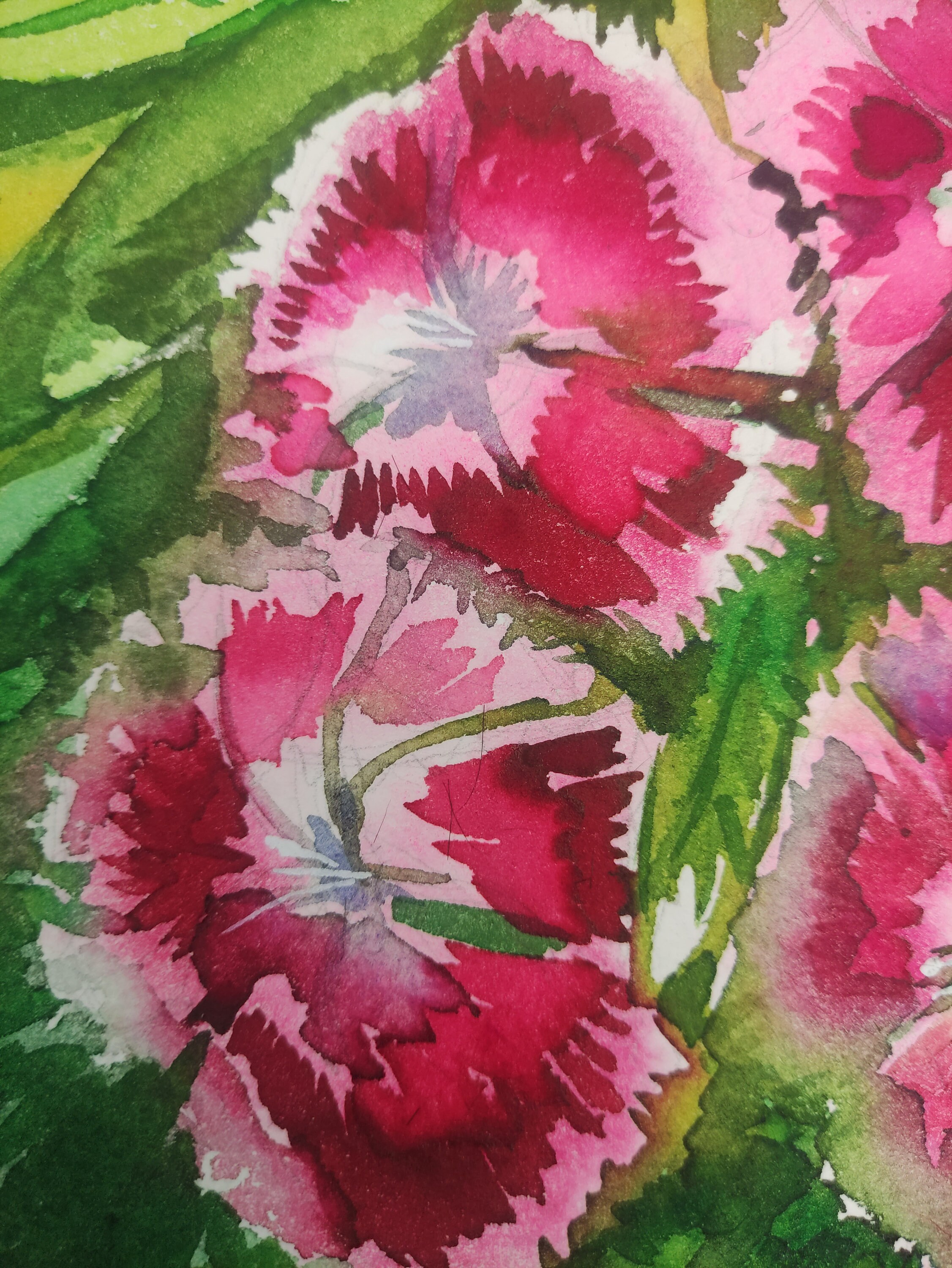 Carnation Flowers Painting Painting Original Watercolor Floral Etsy
