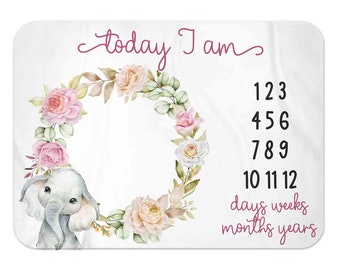 Baby girl Milestone Blanket, Boy Month Blanket, rainbow, Premium baby blanket, Personalized baby blanket, Personalized milestone blanket
