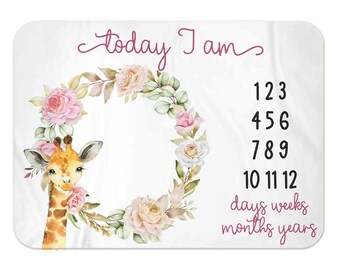 Baby girl Milestone Blanket, Boy Month Blanket, rainbow, Premium baby blanket, Personalized baby blanket, Personalized milestone blanket