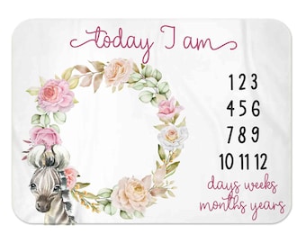 Baby girl Milestone Blanket, Boy Month Blanket, rainbow, Premium baby blanket, Personalized baby blanket, Personalized milestone blanket