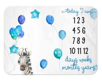 Baby Boy Milestone Blanket, Boy Month Blanket, rainbow, Premium baby blanket, Personalized baby blanket, Personalized milestone blanket