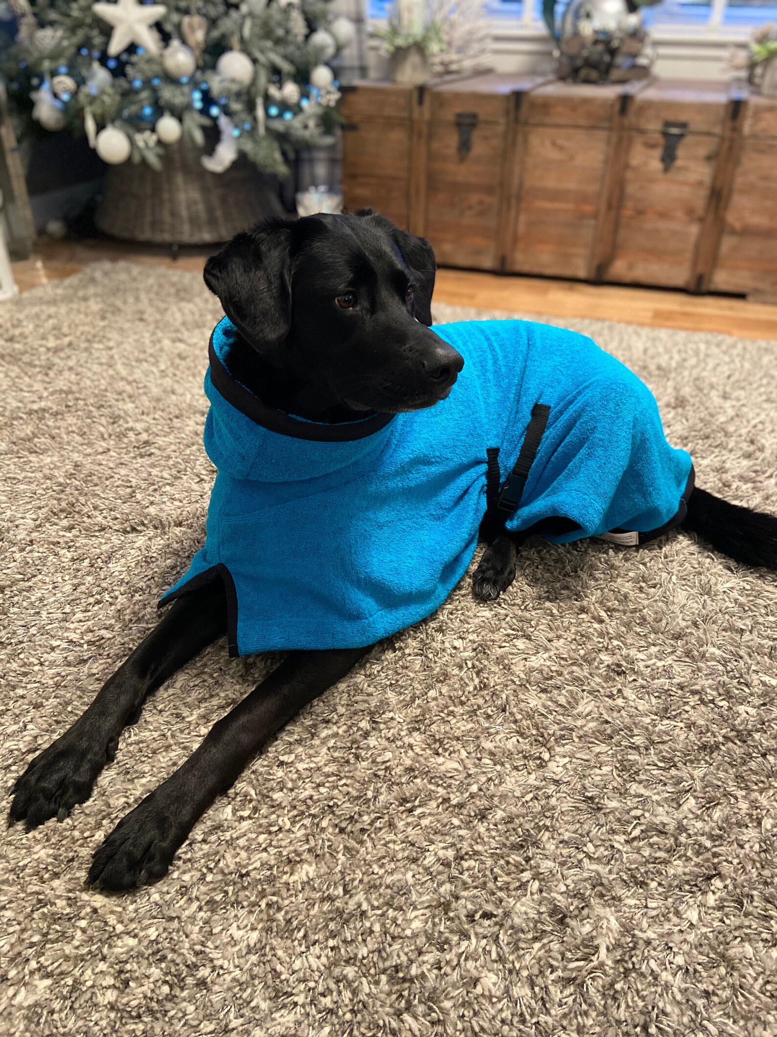 Dog Drying Robe Dog Drying Coat Dog Coat Dog Robe Dog Etsy