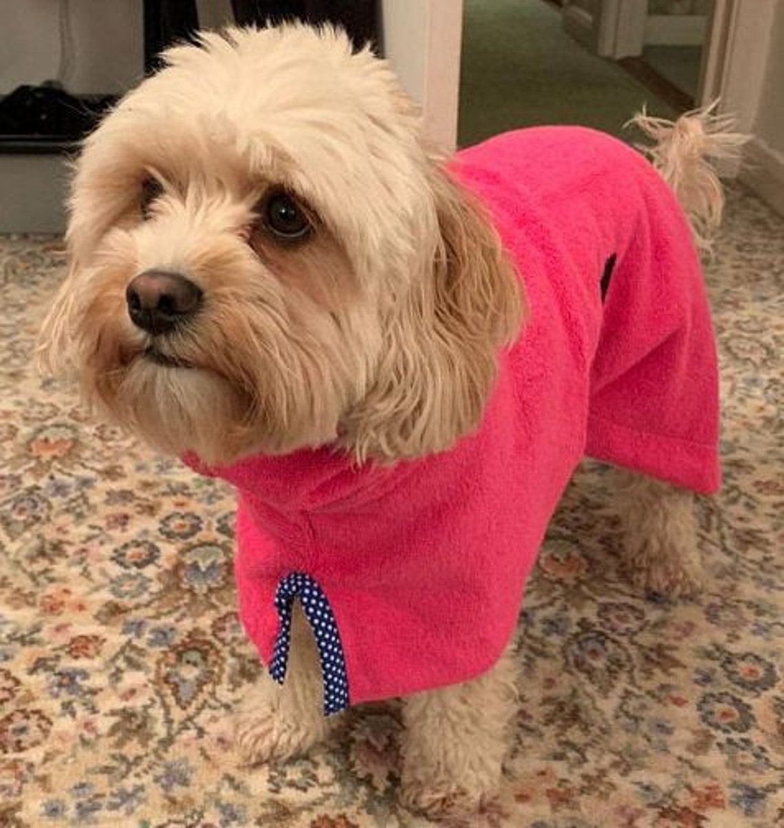 Dog Drying Robe Dog Drying Coat Dog Coat Dog Robe Dog Etsy