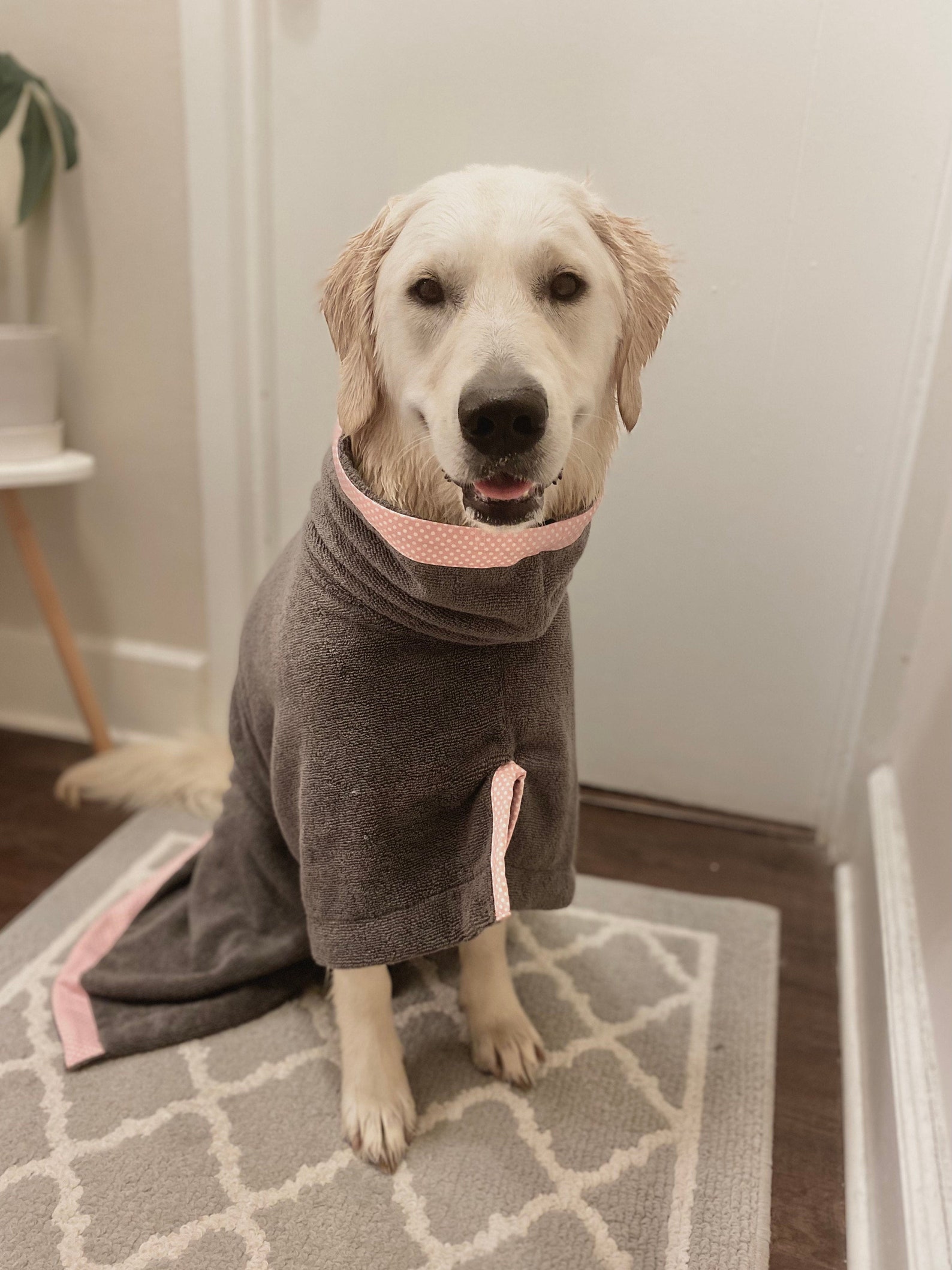 Dog Drying Coat Dog Drying Robe Dog Drier Dog Robe Dog Etsy