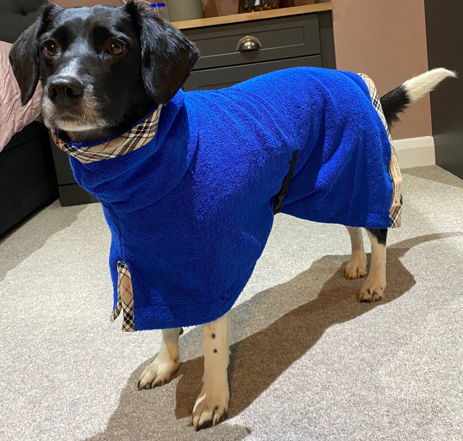 Dog Drying Robe Dog Drying Coat Dog Coat Dog Robe Dog Etsy