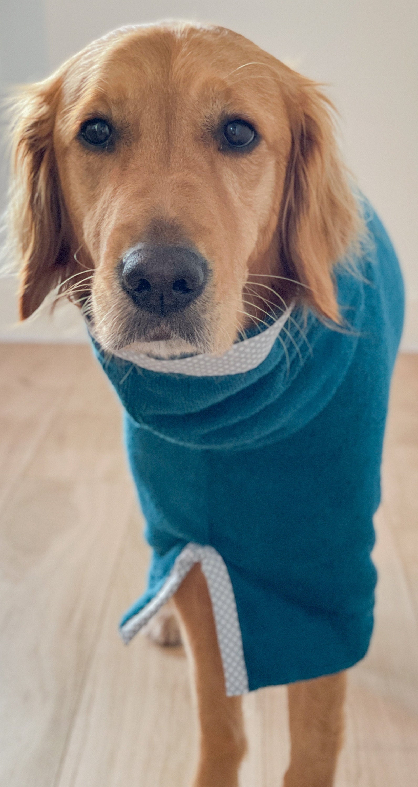 Dog Drying Robe Dog Drying Coat Dog Coat Dog Robe Dog Etsy