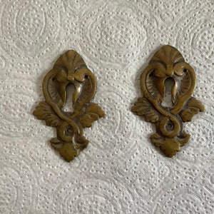 Può includere: Due scudetti per buco della serratura in ottone antico con intricati disegni floreali.
