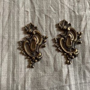 Può includere: Due copri-chiavi in metallo dorato ornati con intricati motivi floreali. I copri-chiavi sono su uno sfondo di tessuto grigio chiaro.