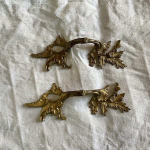 Könnte beinhalten: Zwei verzierte Messing-Schubladengriffe mit floralem Design. Die Griffe haben die Form eines Zweigs mit Blättern und Blüten.