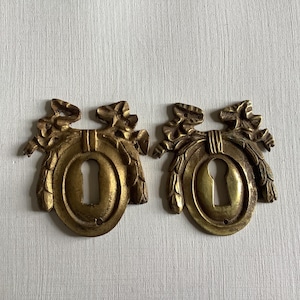 Può includere: Due copri-serratura antichi in ottone con un design ornato. Ogni copri-serratura presenta una serratura al centro, circondata da una cornice ovale ed elementi floreali decorativi. L'ottone ha una calda patina invecchiata.
