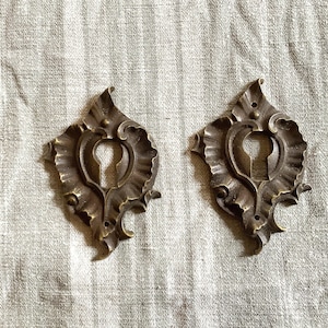 Un set di due copri-serratura in ottone antico abbinati, realizzati in Francia nel 1900.