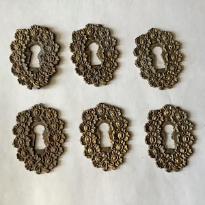 Può includere: Sei copri-serratura antichi in ottone con disegni floreali. Ogni copri-serratura ha una forma a buco della serratura al centro, circondata da un motivo ornato a forma di fiore. L'ottone ha un aspetto vintage.