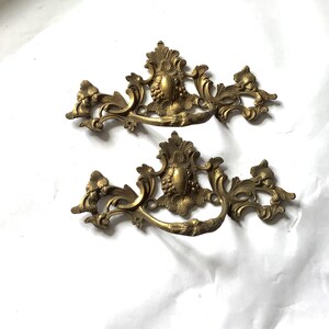 Antika 1900-tals dekorativa möbelhandtag i mässing, Ormolu-mässing, tillverkade i Frankrike, Druvor och löv