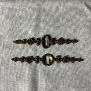 Può includere: Due scudetti per buco della serratura in metallo decorato con un motivo floreale. Gli scudetti sono di colore oro chiaro e hanno un buco della serratura al centro.