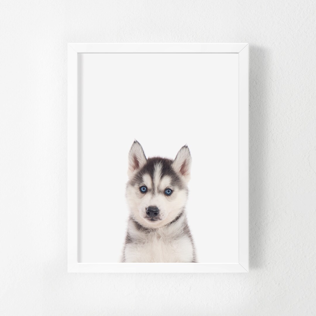Puppy Husky PRINTABLE Art Baby Animal Nursery Pet Nursery - Etsy