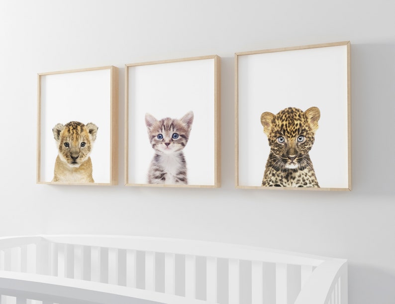 Kitten PRINTABLE art Baby Animal Nursery decor Wall art Etsy