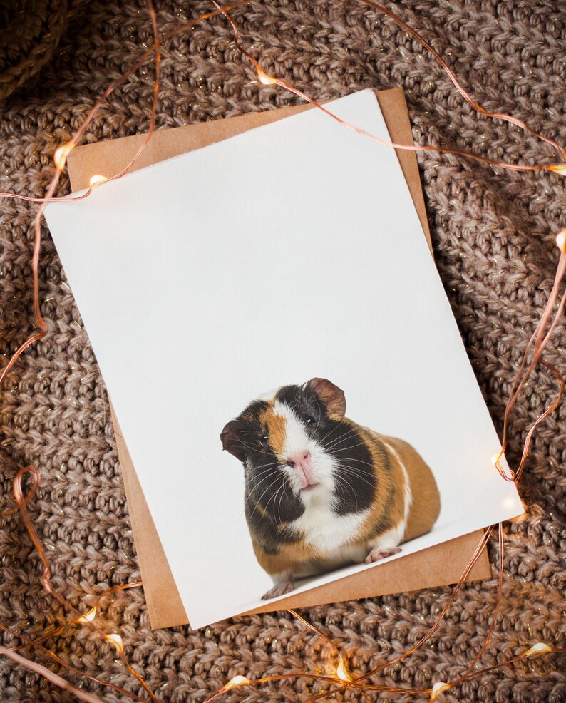 Guinea Pig Print PRINTABLE Art Baby Animal Nursery Wall - Etsy