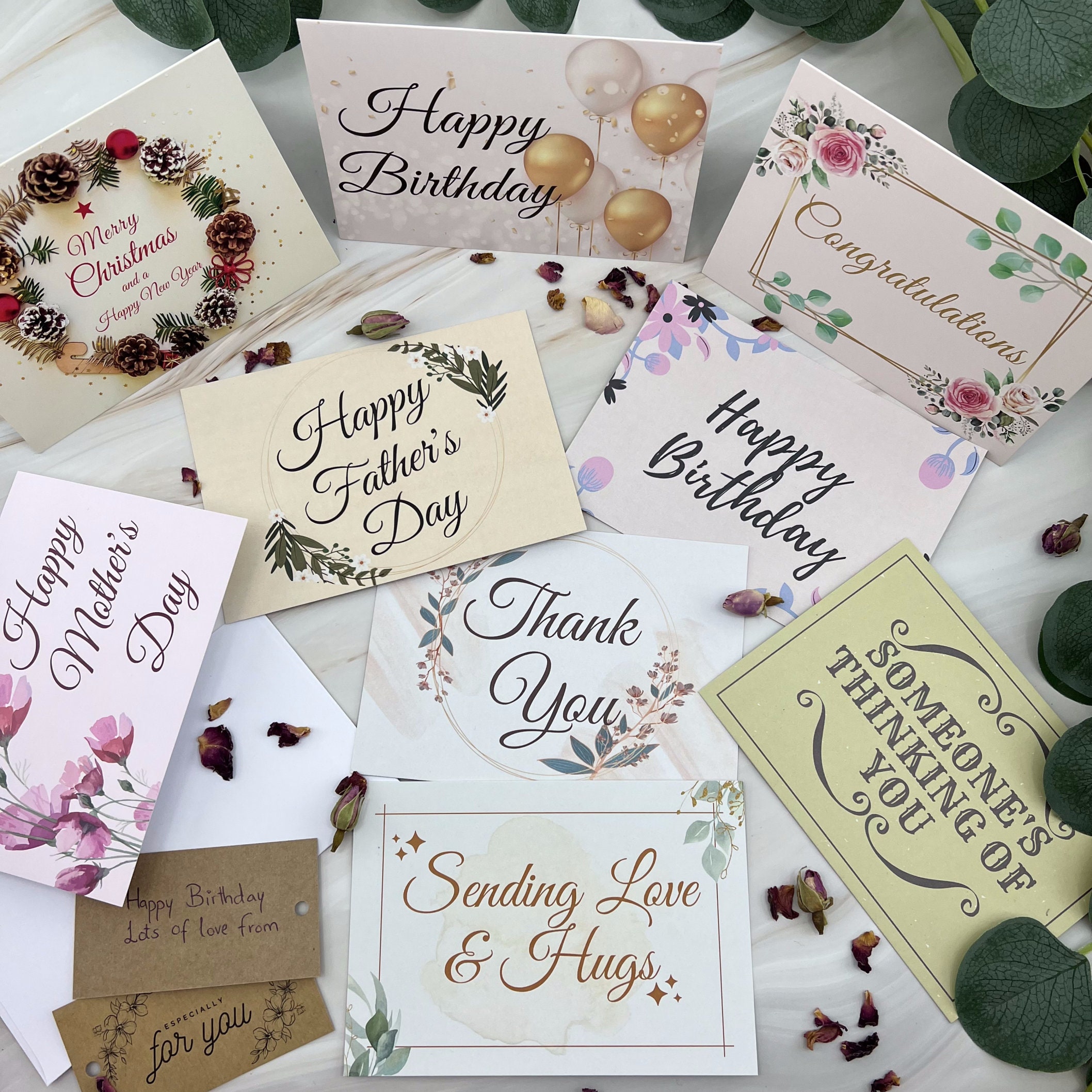 COMPLETE Terrarium Kit With Plants and Glass Geometric Etsy UK