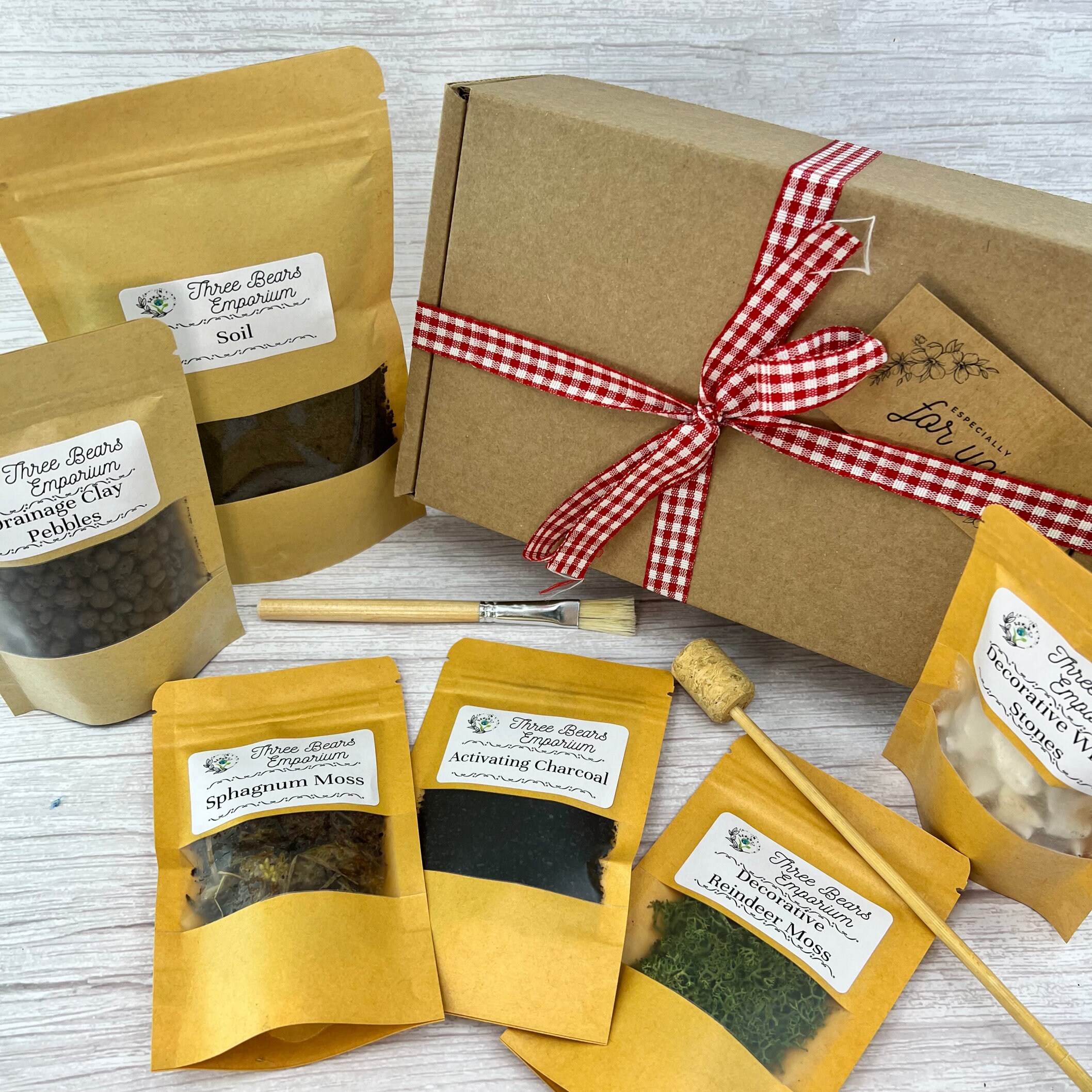 COMPLETE Terrarium Kit With Plants and Glass Geometric Etsy UK