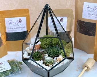 COMPLETE Terrarium Kit with Plants and Glass Geometric Terrarium | Build Your Own| Gardening Gift| Goods for the Home | DIY Kit For All Ages