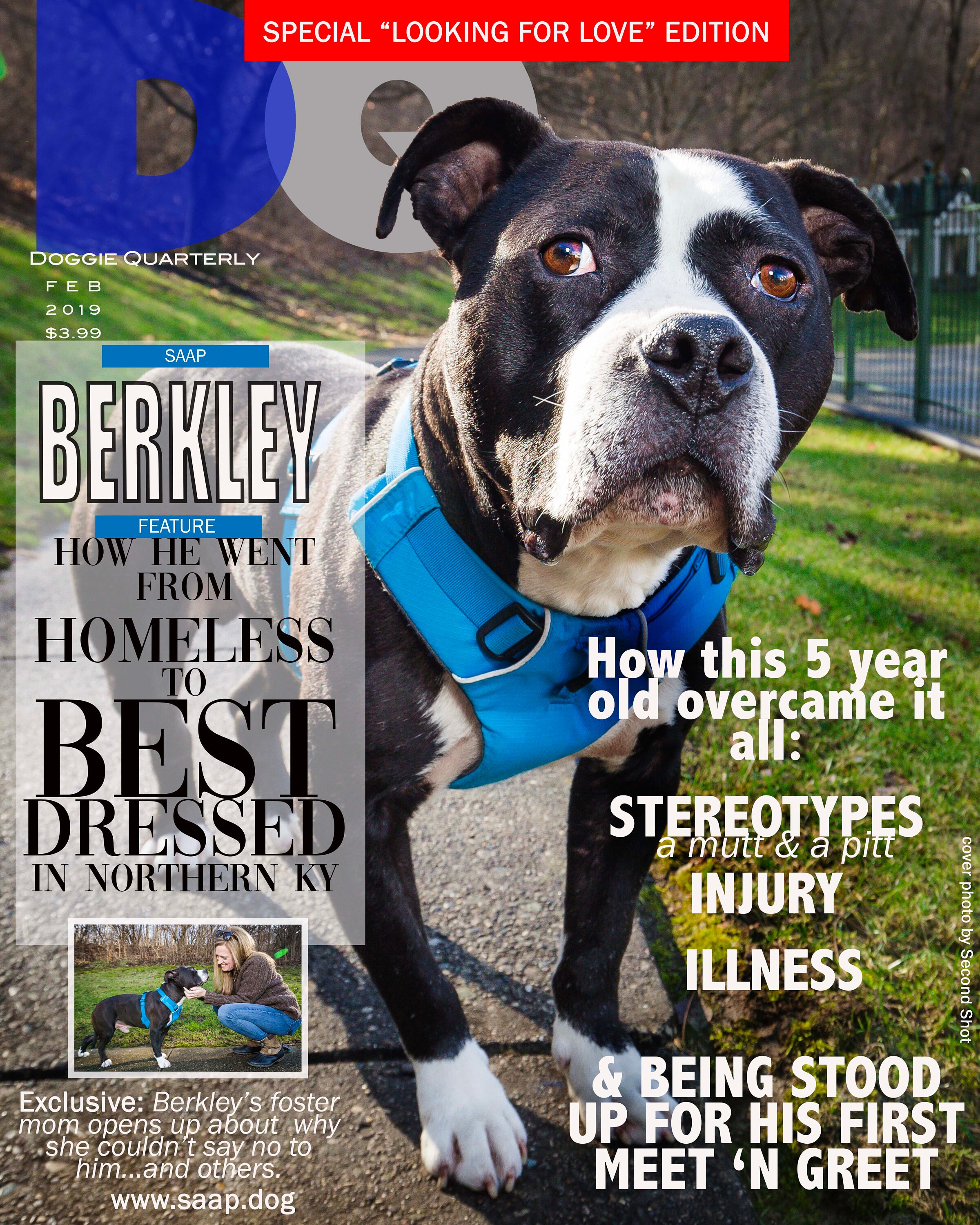 DQ Doggie Quarterly Magazine Cover Overlay - Etsy Ireland DQ Doggie Quarterly Magazine Cover Overlay - Etsy Ireland