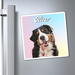 Custom pet magnet