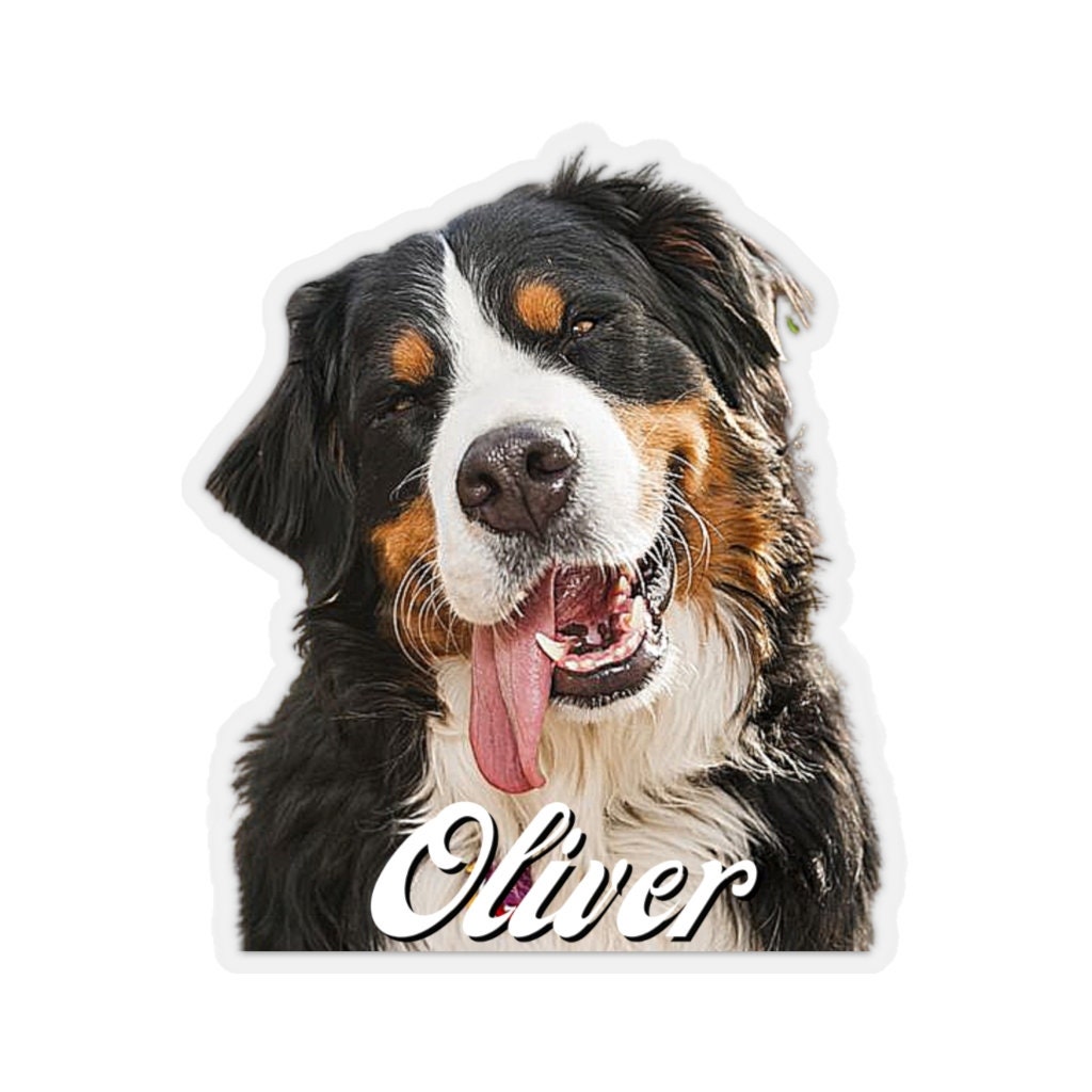 Custom Pet Stickers Custom Sticker Dog Sticker Animal Etsy
