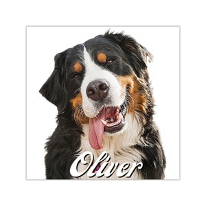 Custom Pet Stickers, Custom Sticker, Dog Sticker, Animal Sticker, Funny Custom Sticker, Custom Vinyl Decal,  Square Vinyl Sticker