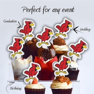 Illinois State University Cupcake Toppers, Plastic ISU  Mascot Cupcake Picks Birthday Dessert Toppers, Solid Plastic, No Toothpicks!