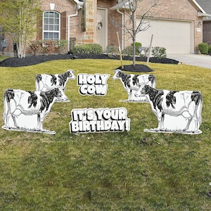 Holy Cow It&#39;s Your Birthday!, 6pc Jumbo Quick Set Birthday Yard Card Lawn Sign